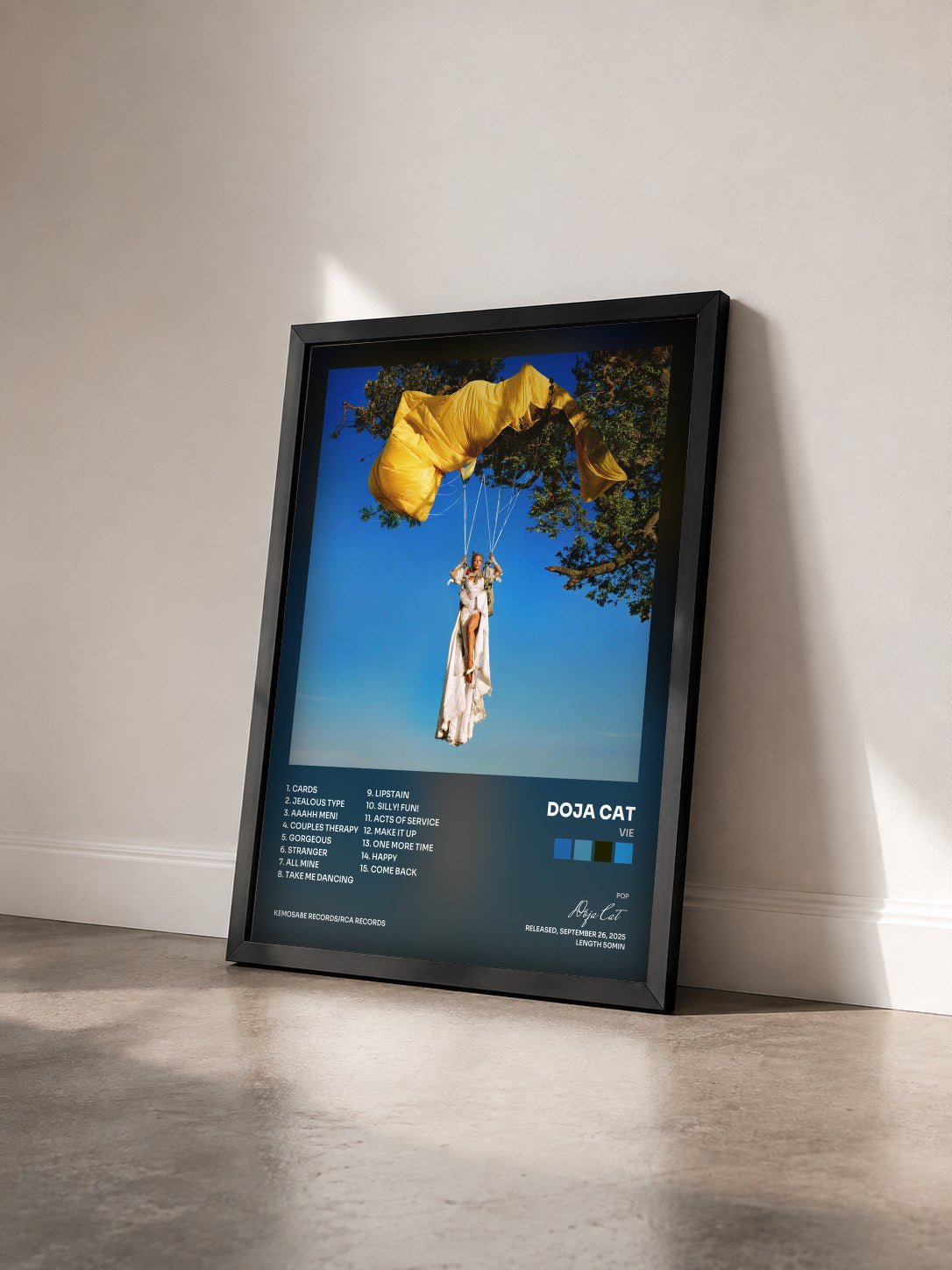 #noir Tableau de l'album Vie de Doja Cat vu de trois quarts, cadre noir