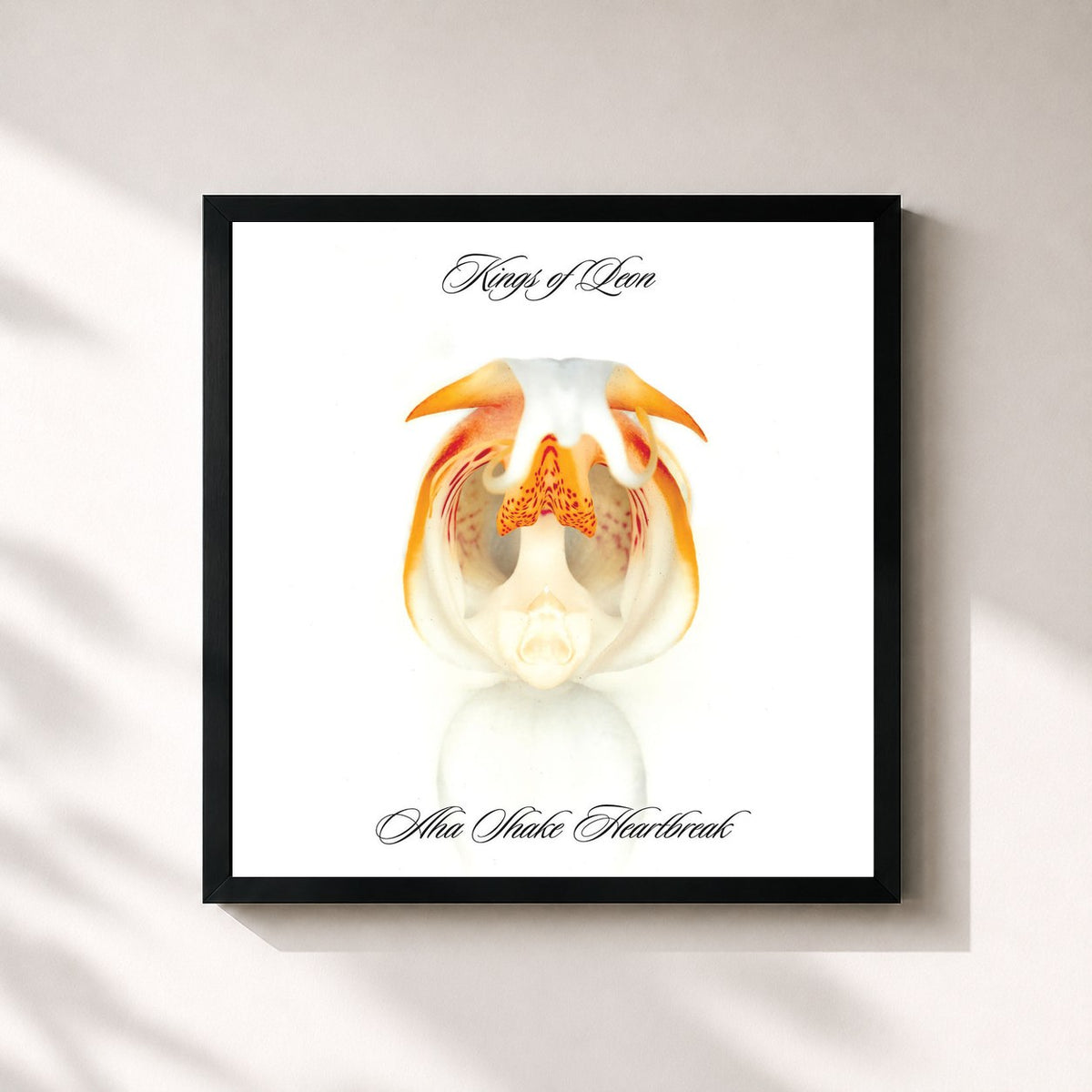 #noir Aha Shake Heartbreak by Kings of Leon as a square framed art print, black 32x32 cm frame