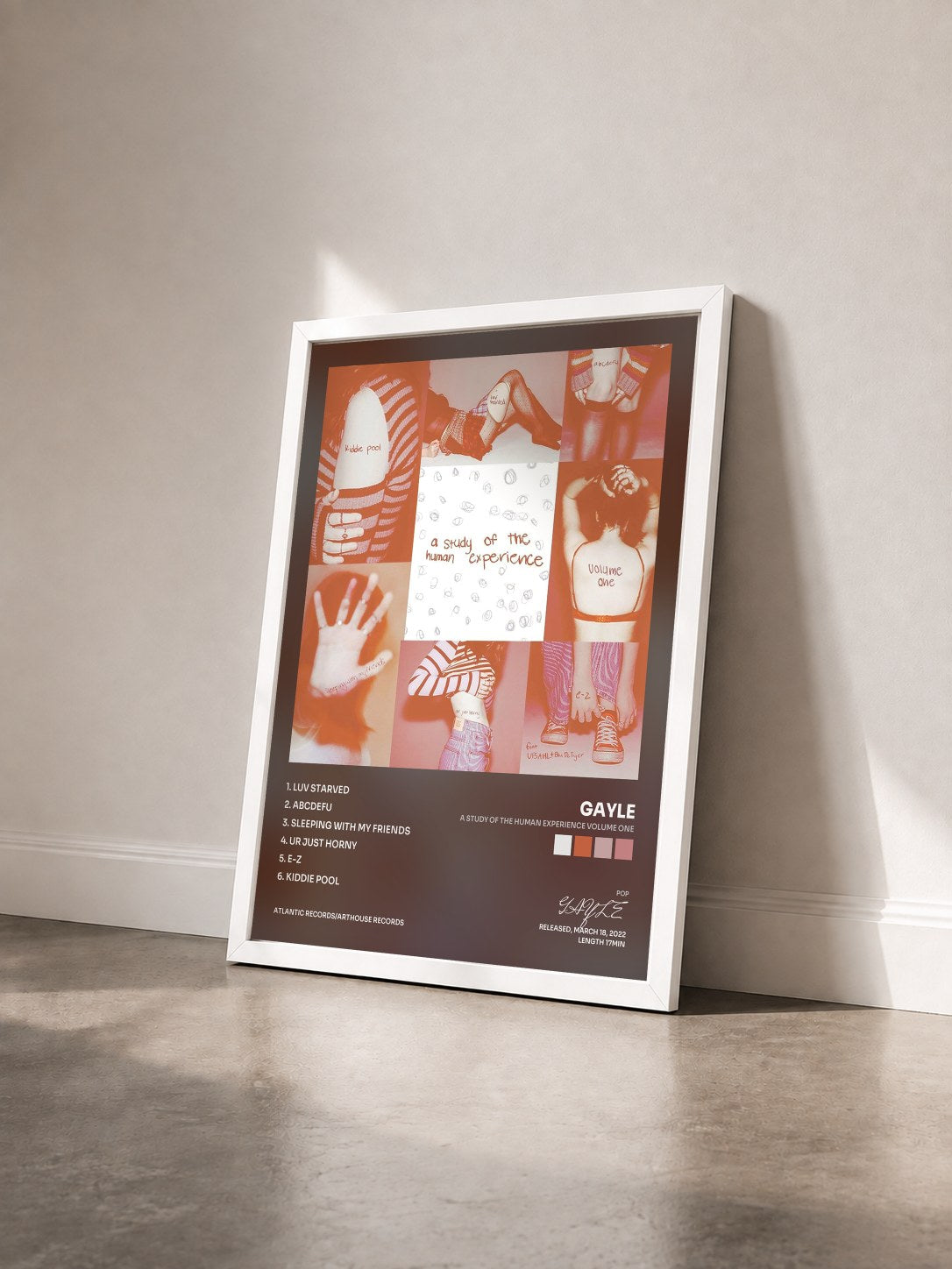 #blanc Tableau de l'album a study of the human experience volume one de GAYLE vu de trois quarts, cadre blanc