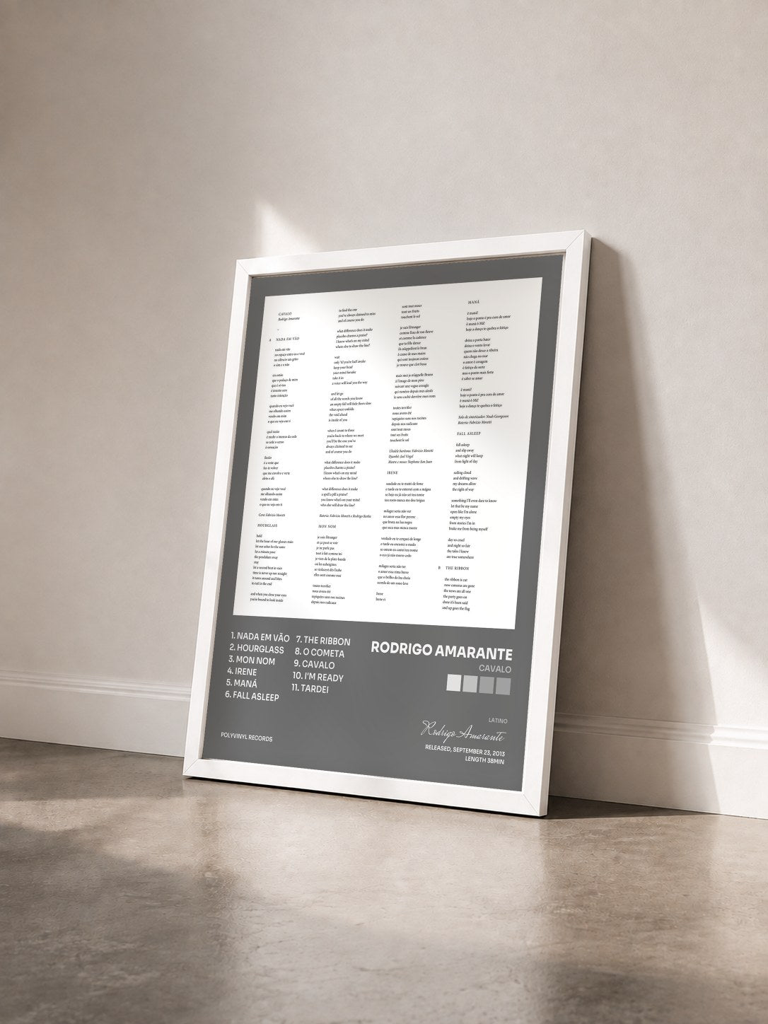 #blanc Tableau de l'album Cavalo de Rodrigo Amarante vu de trois quarts, cadre blanc