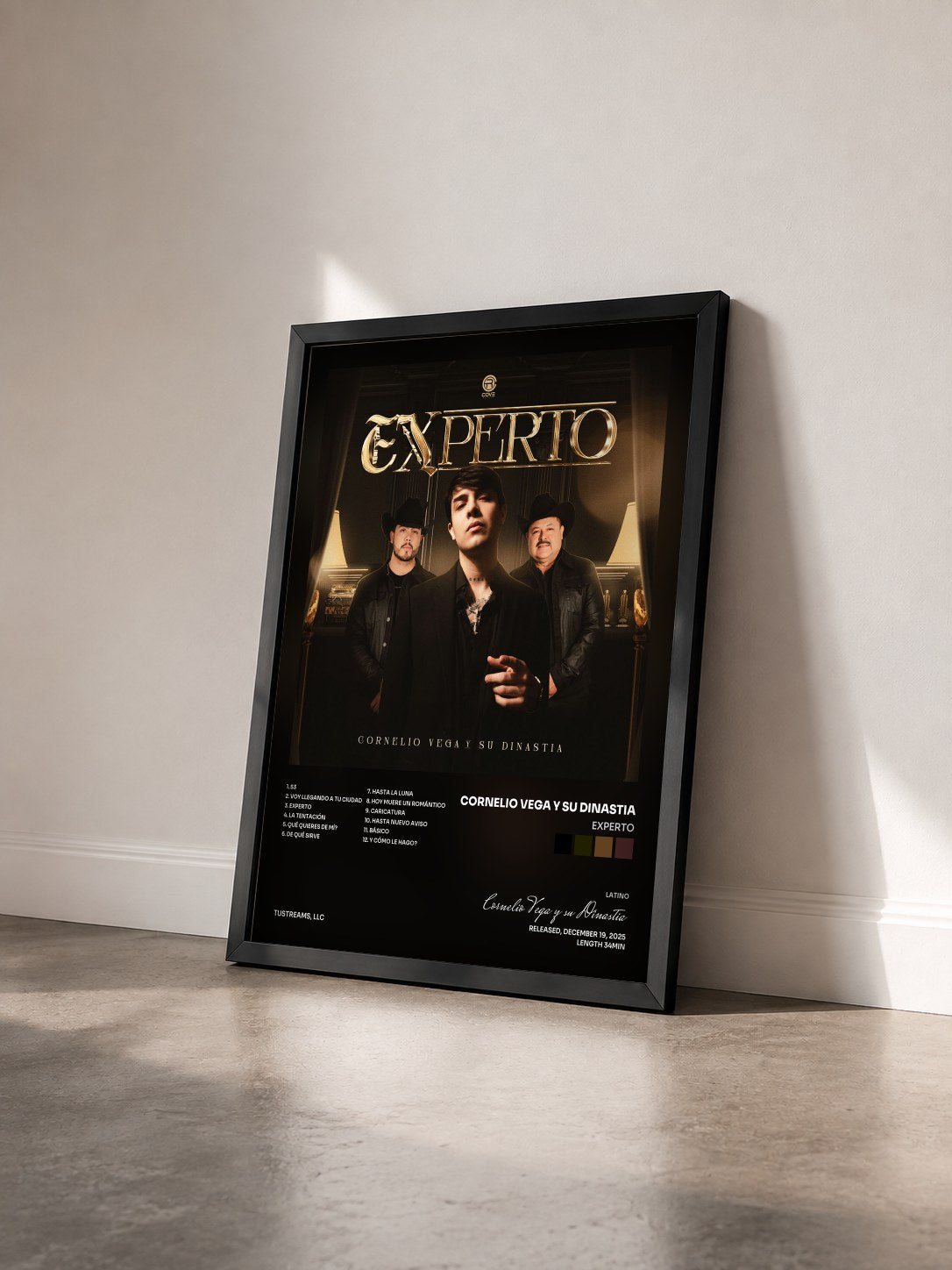 #noir Tableau de l'album Experto de Cornelio Vega y su Dinastia vu de trois quarts, cadre noir