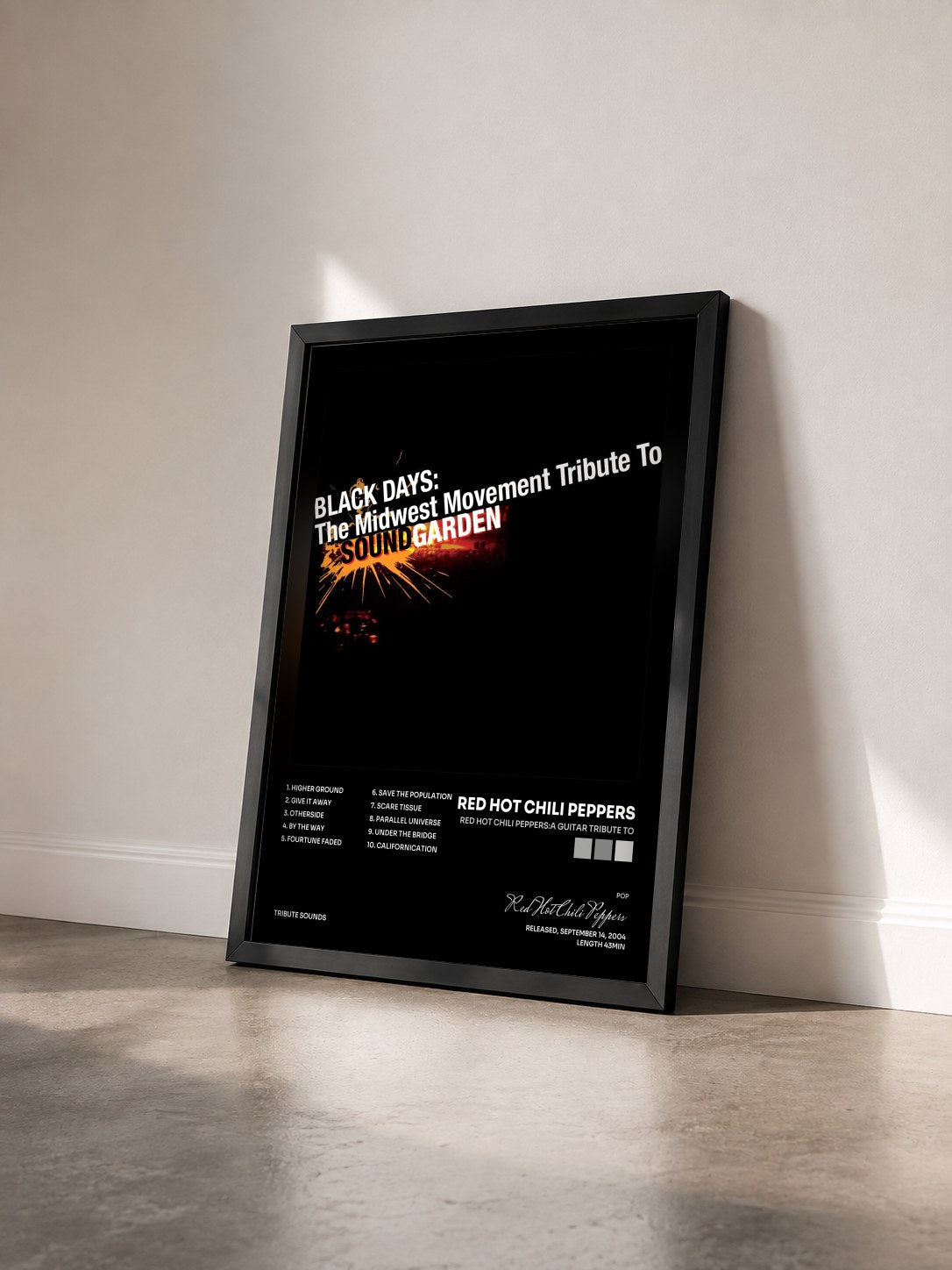 #noir Tableau de l'album Red Hot Chili Peppers:a Guitar Tribute To de Red Hot Chili Peppers vu de trois quarts, cadre noir