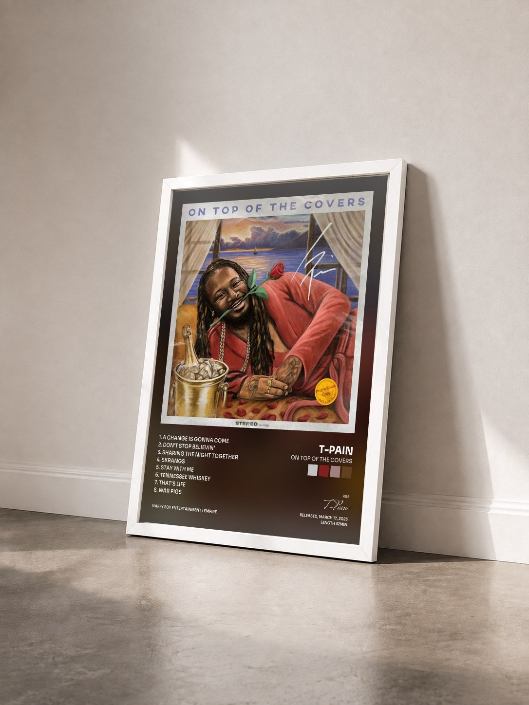 #blanc Tableau de l'album On Top of The Covers de T-Pain vu de trois quarts, cadre blanc