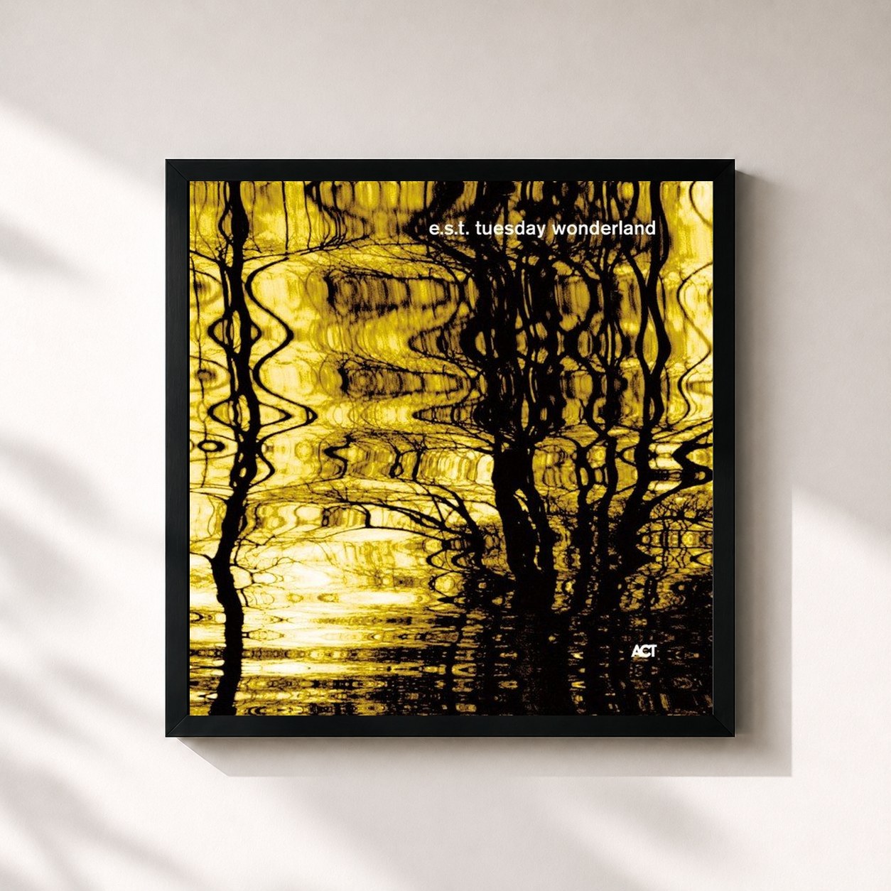 #noir Tableau carré de l'album Tuesday Wonderland de Esbjörn Svensson Trio, cadre noir 32x32 cm