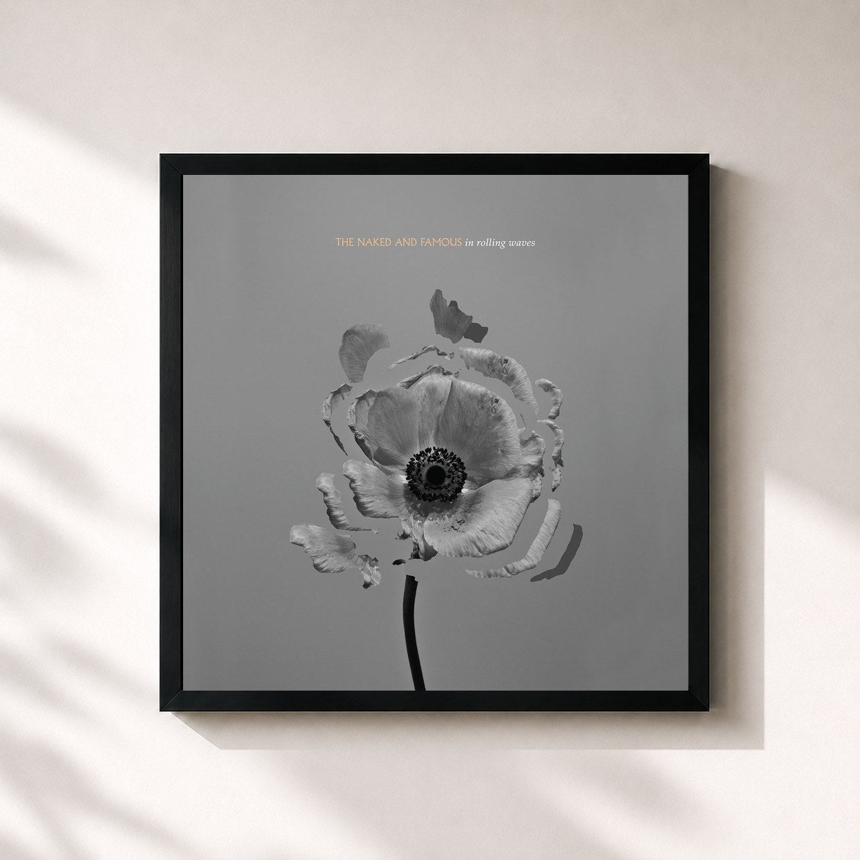 #noir Tableau carré de l'album In Rolling Waves de The Naked And Famous, cadre noir 32x32 cm