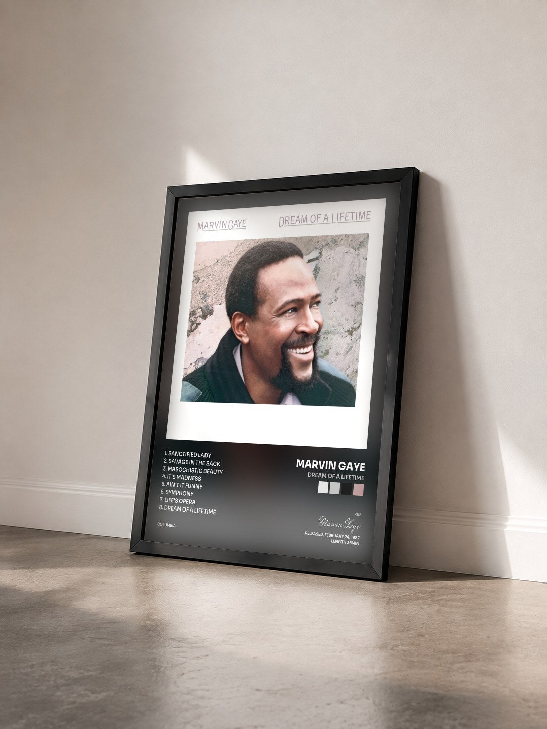 #noir Tableau de l'album Dream Of A Lifetime de Marvin Gaye vu de trois quarts, cadre noir