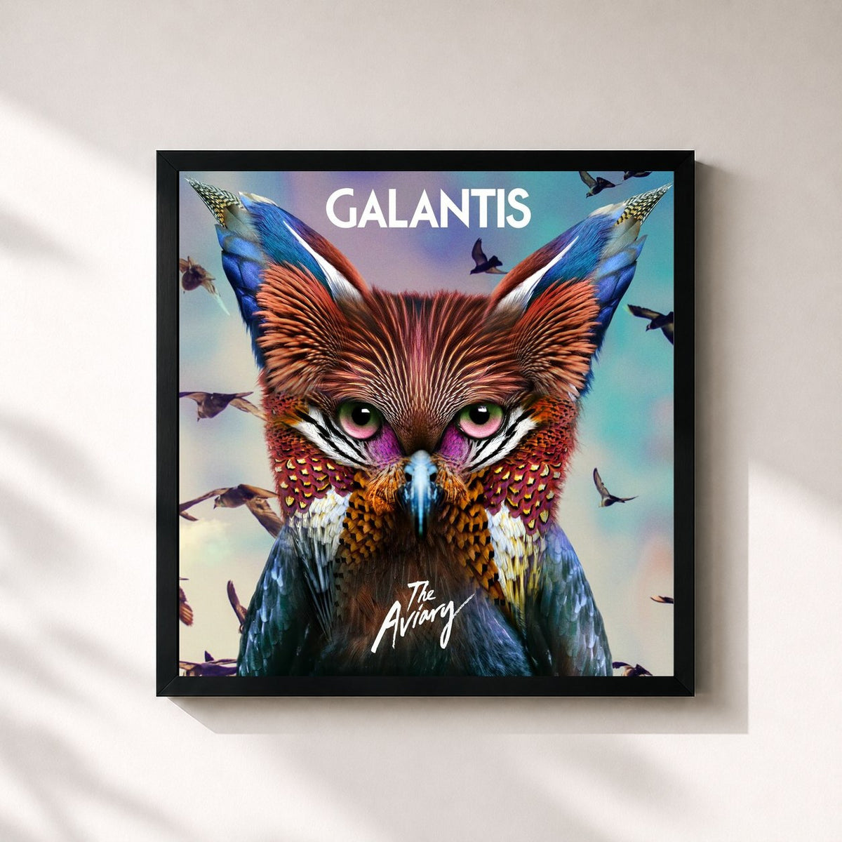#noir Tableau carré de l'album The Aviary de Galantis, cadre noir 32x32 cm