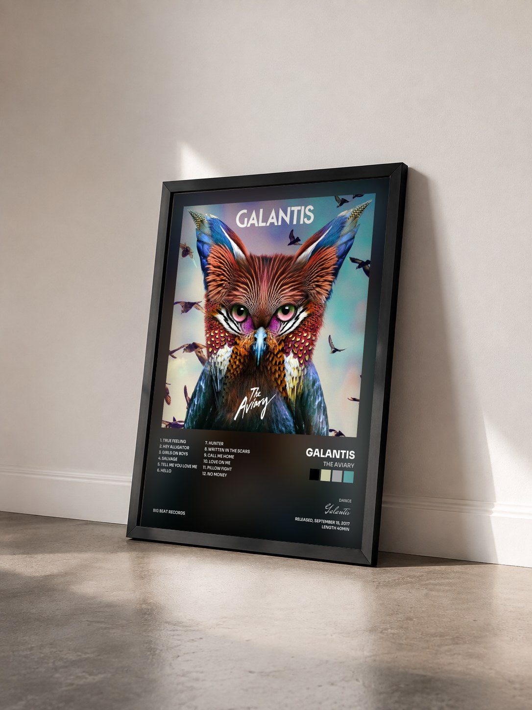 #noir Tableau de l'album The Aviary de Galantis vu de trois quarts, cadre noir
