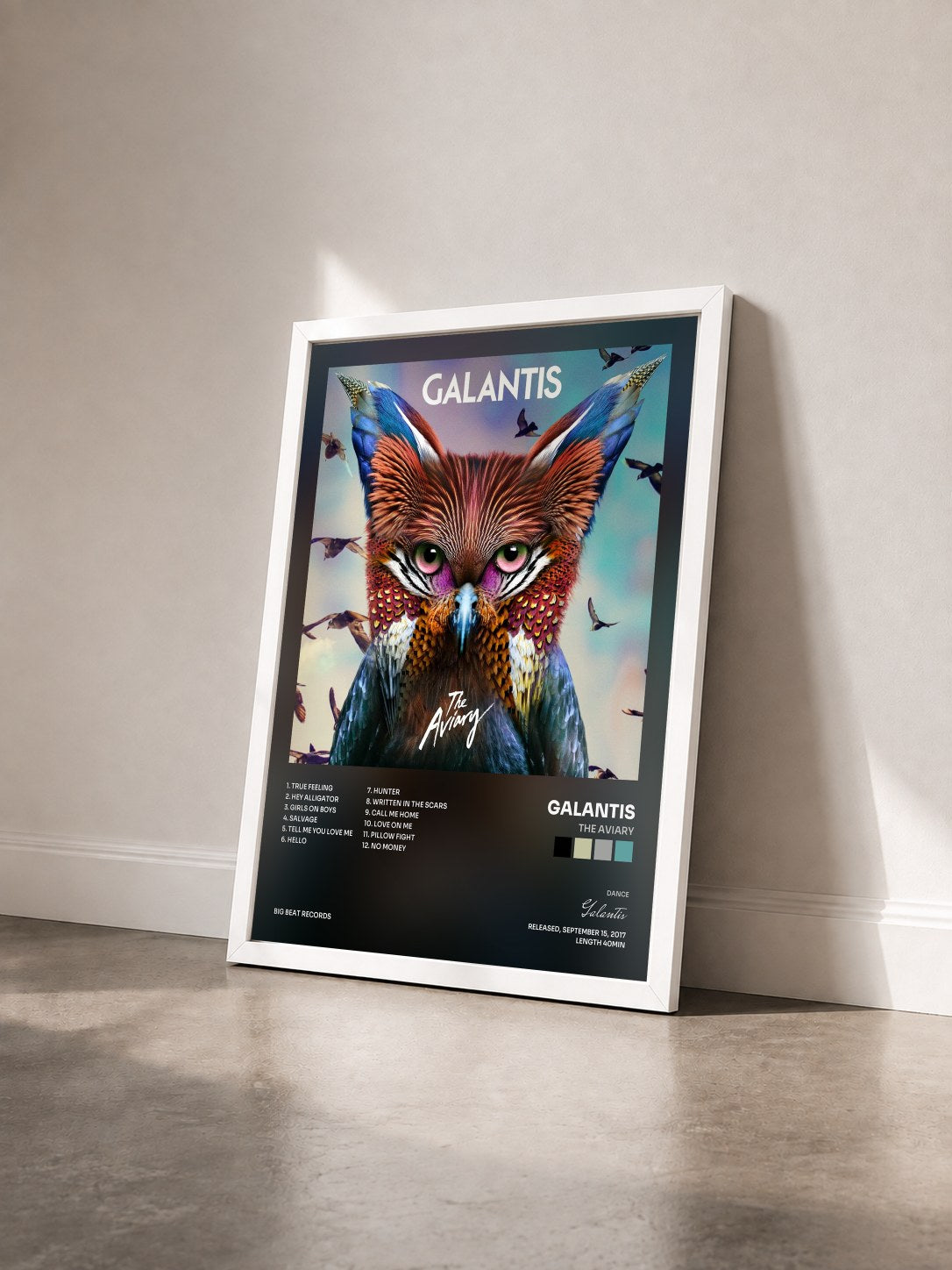 #blanc Tableau de l'album The Aviary de Galantis vu de trois quarts, cadre blanc