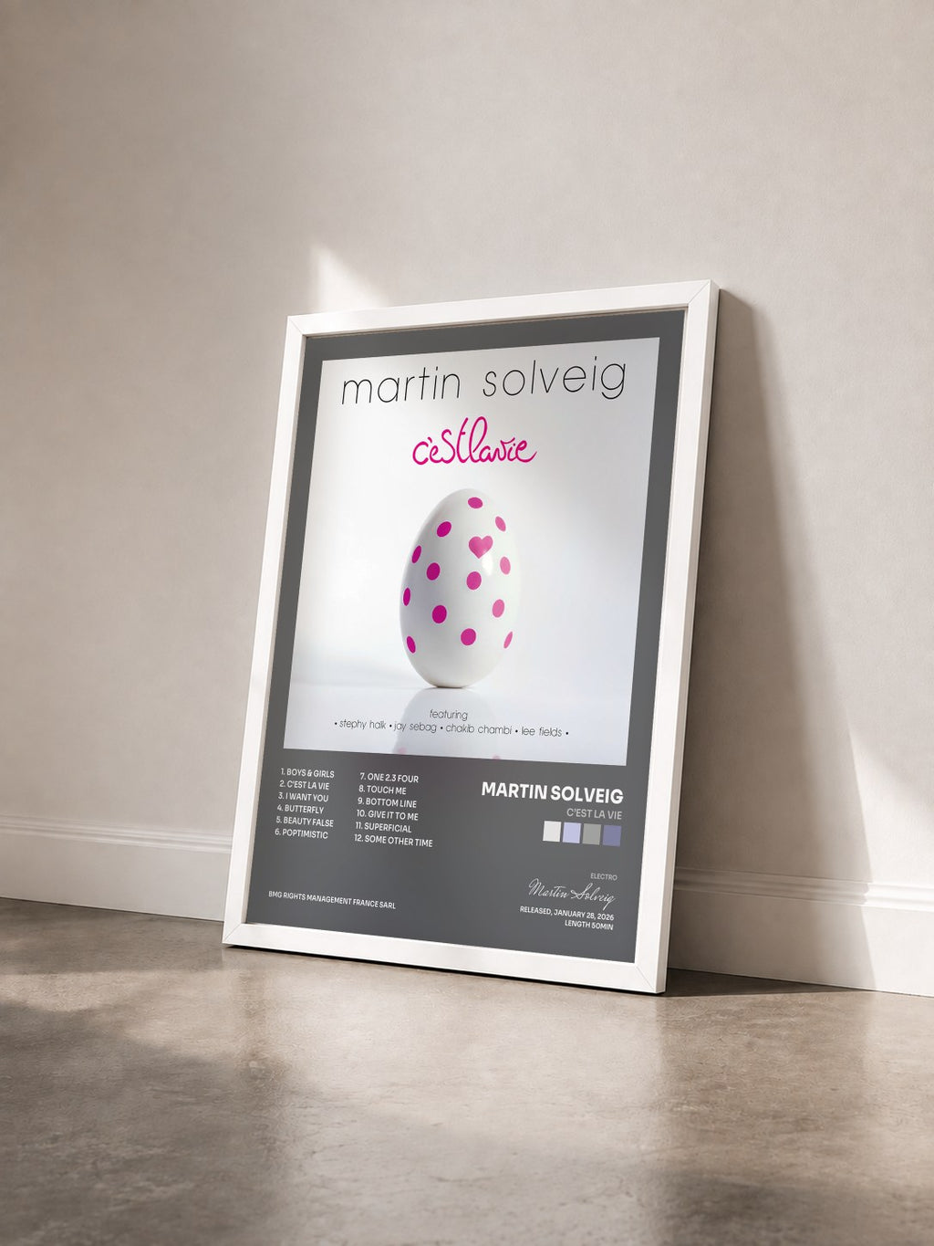 #blanc Tableau de l'album C’est la vie de Martin Solveig vu de trois quarts, cadre blanc