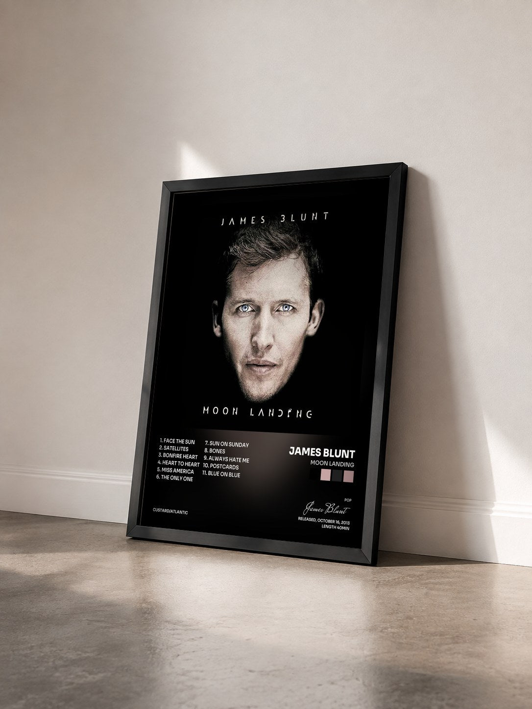 #noir Tableau de l'album Moon Landing de James Blunt vu de trois quarts, cadre noir