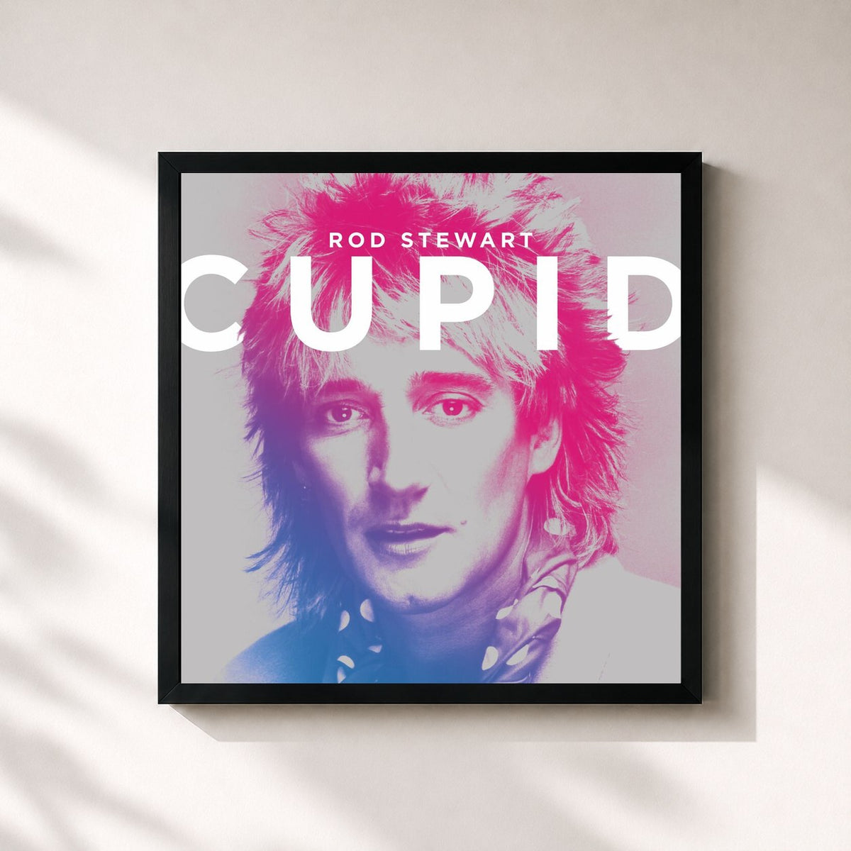 #noir Cupid de Rod Stewart en lámina cuadrada enmarcada, marco negro de 32x32 cm