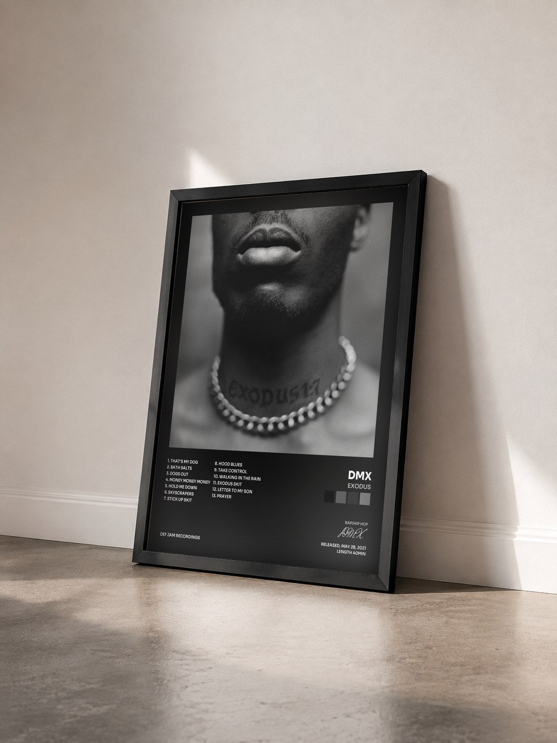 #noir Tableau de l'album Exodus de DMX vu de trois quarts, cadre noir
