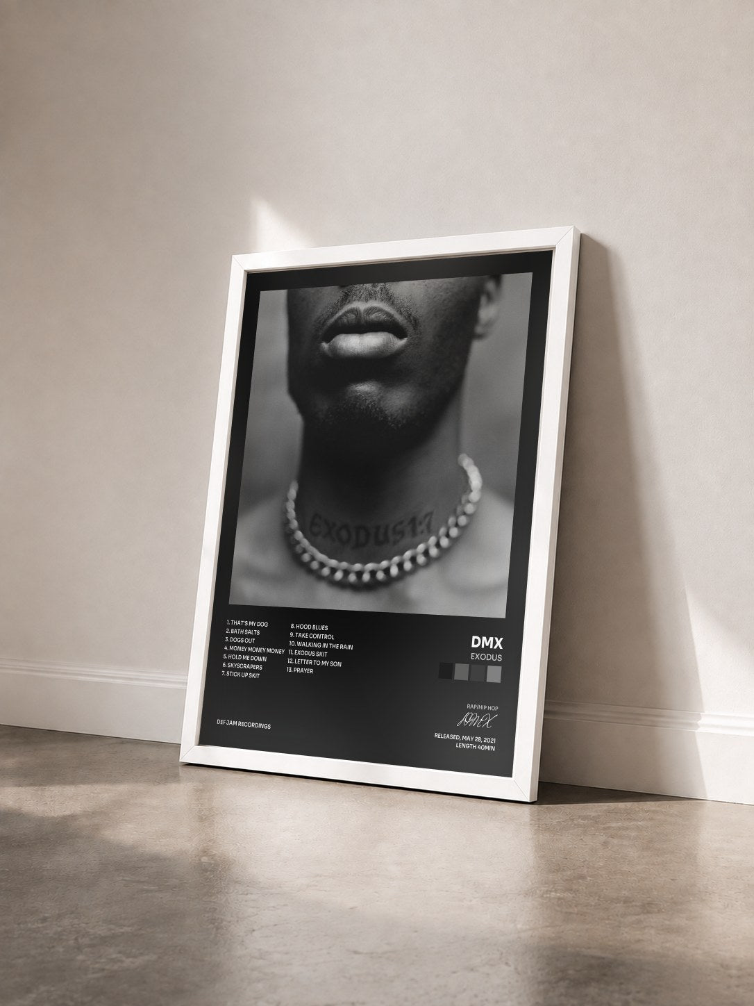 #blanc Tableau de l'album Exodus de DMX vu de trois quarts, cadre blanc