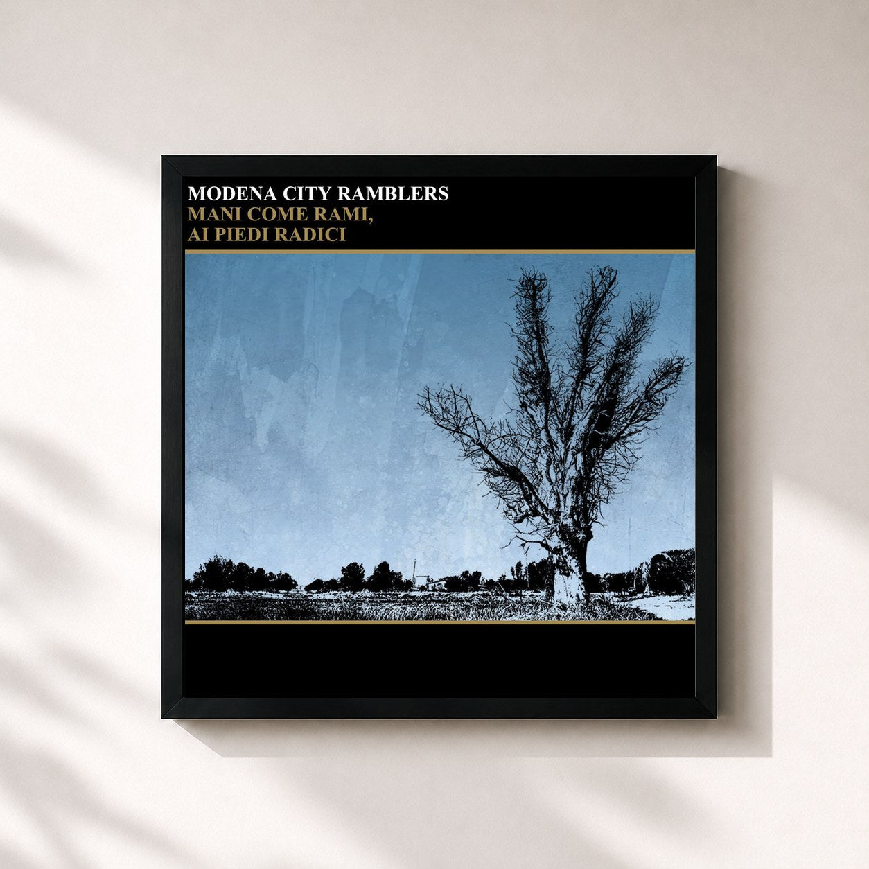 #noir Tableau carré de l'album Mani come rami, ai piedi radici de Modena City Ramblers, cadre noir 32x32 cm