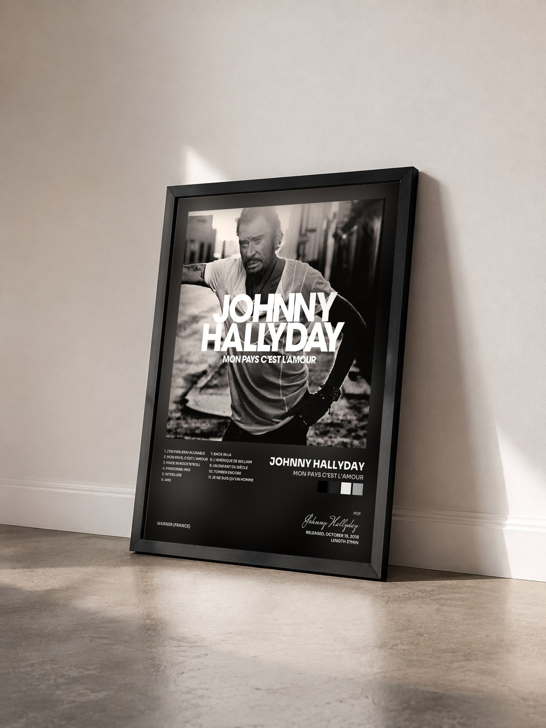#noir Tableau de l'album Mon pays c'est l'amour de Johnny Hallyday vu de trois quarts, cadre noir
