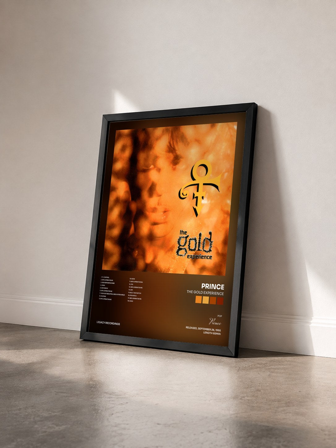#noir Tableau de l'album The Gold Experience de Prince vu de trois quarts, cadre noir