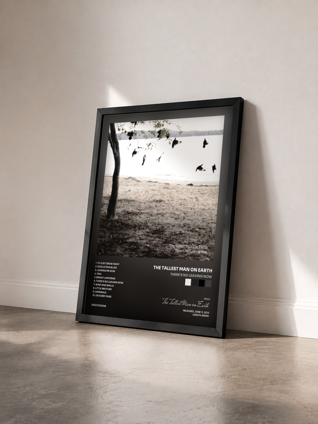 #noir Tableau de l'album There's No Leaving Now de The Tallest Man on Earth vu de trois quarts, cadre noir