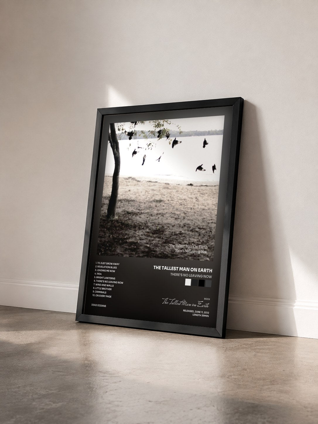 #noir Tableau de l'album There's No Leaving Now de The Tallest Man on Earth vu de trois quarts, cadre noir
