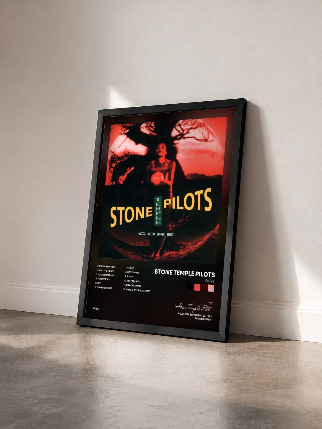 #noir Tableau de l'album Core de Stone Temple Pilots vu de trois quarts, cadre noir