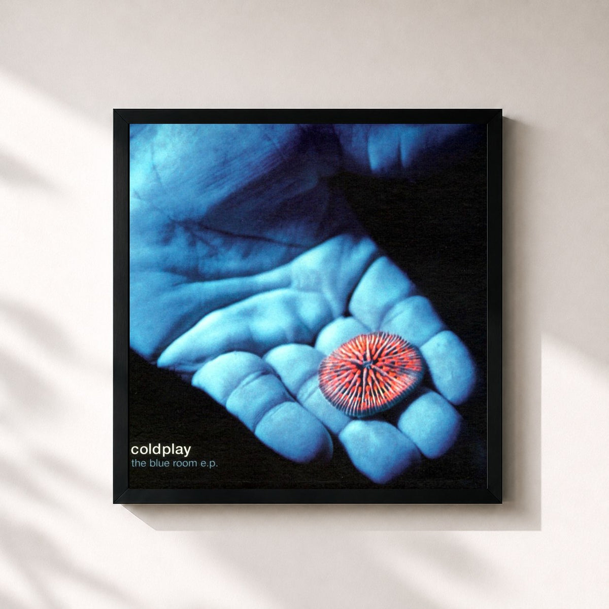 #noir Tableau carré de l'album The Blue Room de Coldplay, cadre noir 32x32 cm