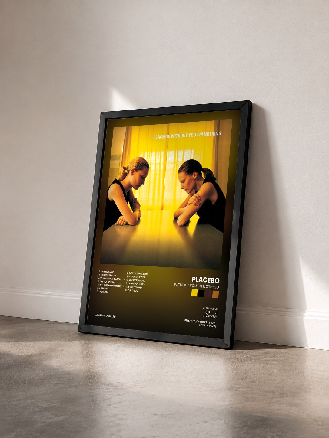 #noir Tableau de l'album Without You I'm Nothing de Placebo vu de trois quarts, cadre noir
