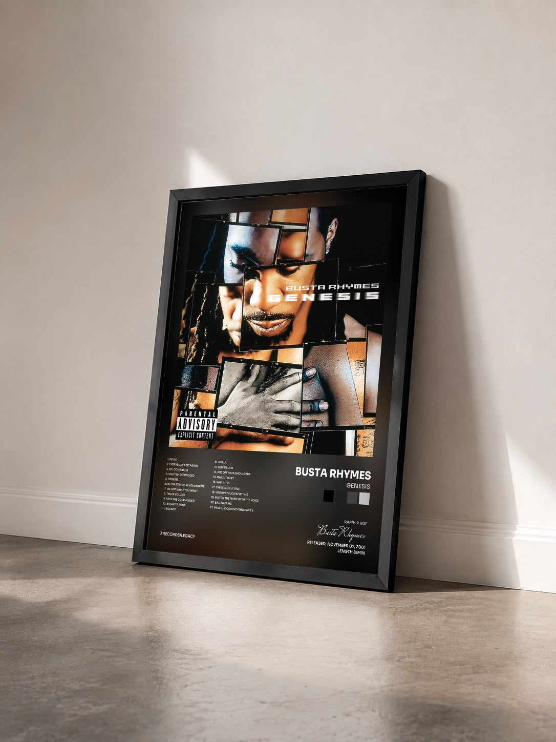 #noir Tableau de l'album Genesis de Busta Rhymes vu de trois quarts, cadre noir