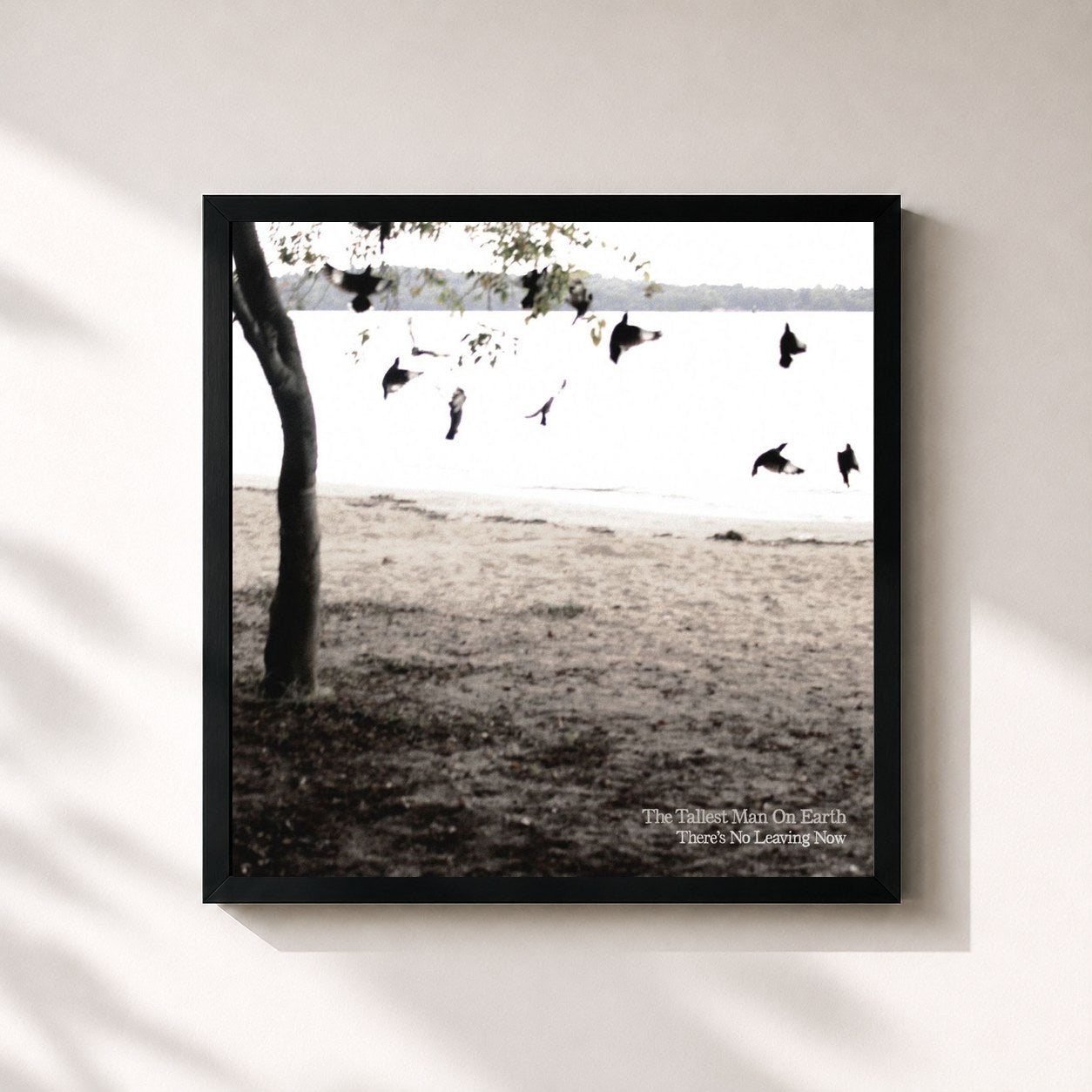 #noir Tableau carré de l'album There's No Leaving Now de The Tallest Man on Earth, cadre noir 32x32 cm