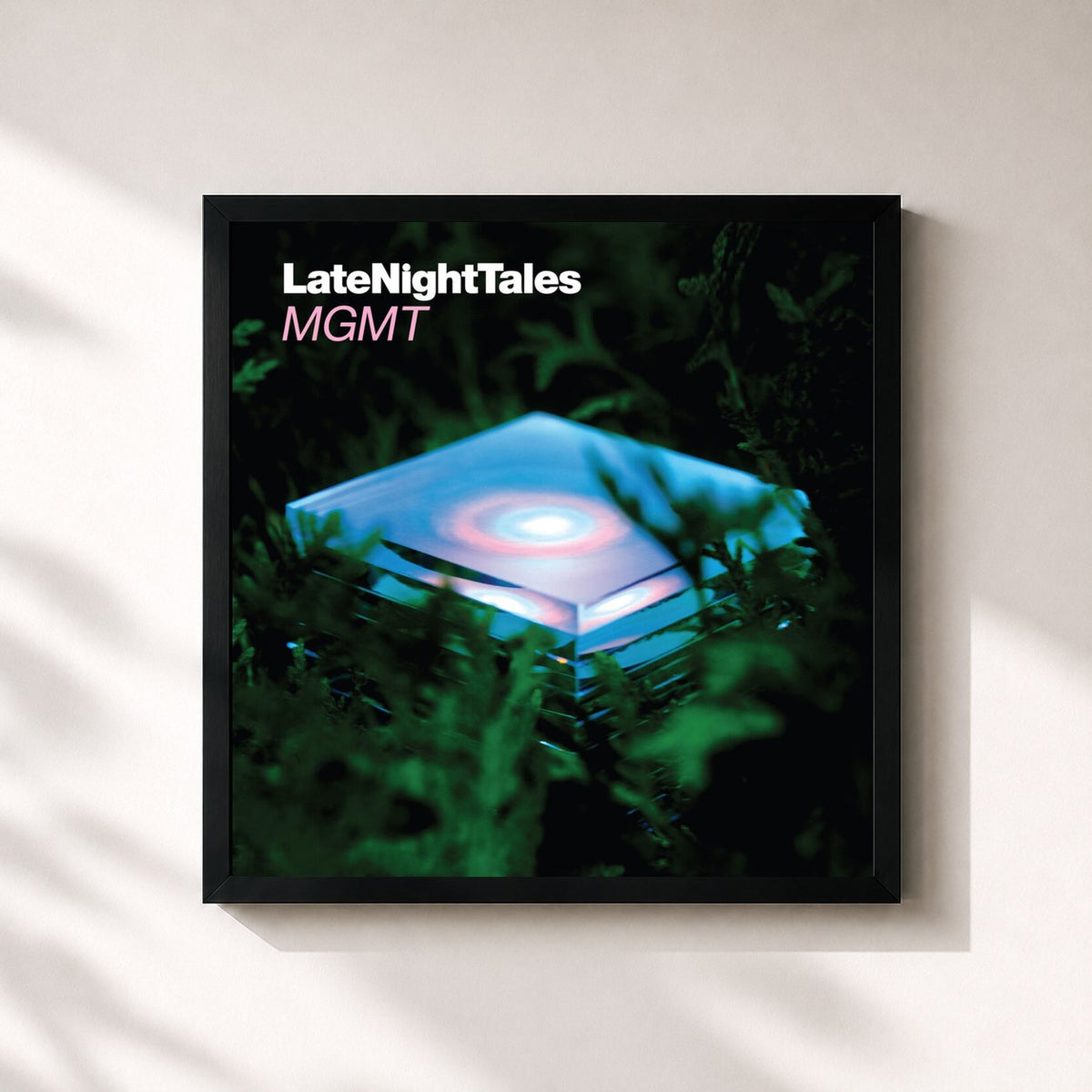 #noir Tableau carré de l'album Late Night Tales: Mgmt de MGMT, cadre noir 32x32 cm