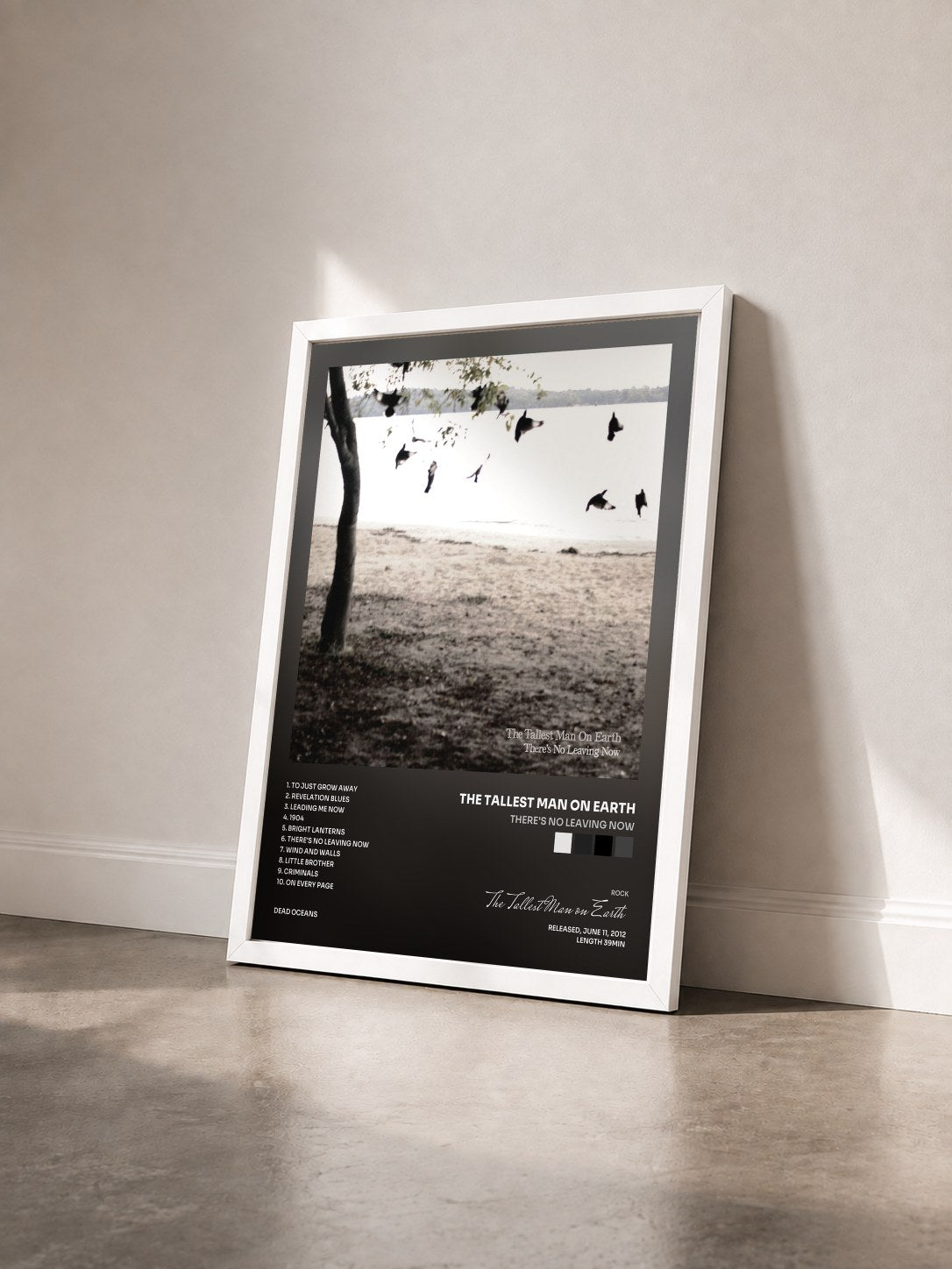 #blanc Tableau de l'album There's No Leaving Now de The Tallest Man on Earth vu de trois quarts, cadre blanc