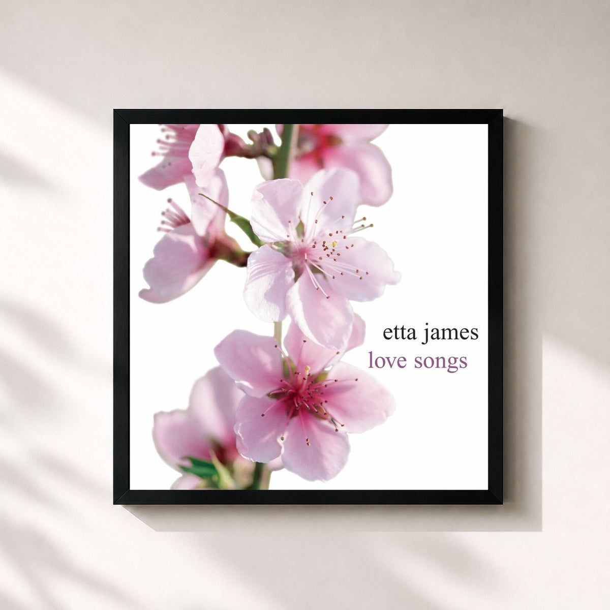 #noir Tableau carré de l'album Love Songs de Etta James, cadre noir 32x32 cm