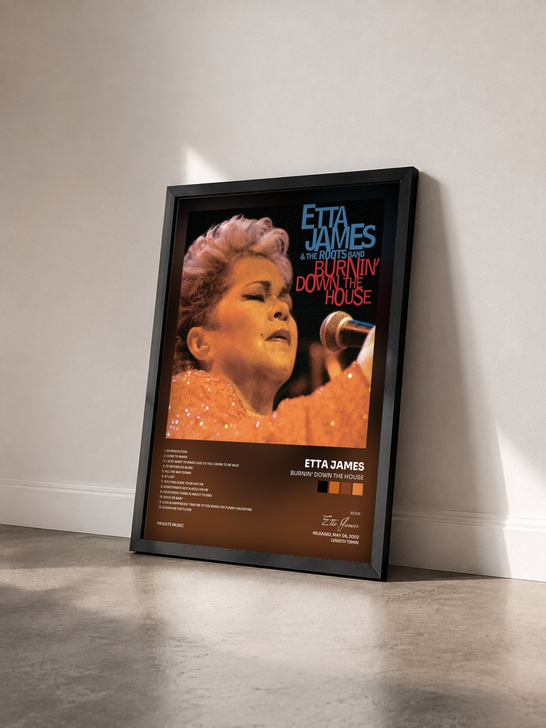 #noir Tableau de l'album Burnin' Down The House de Etta James vu de trois quarts, cadre noir