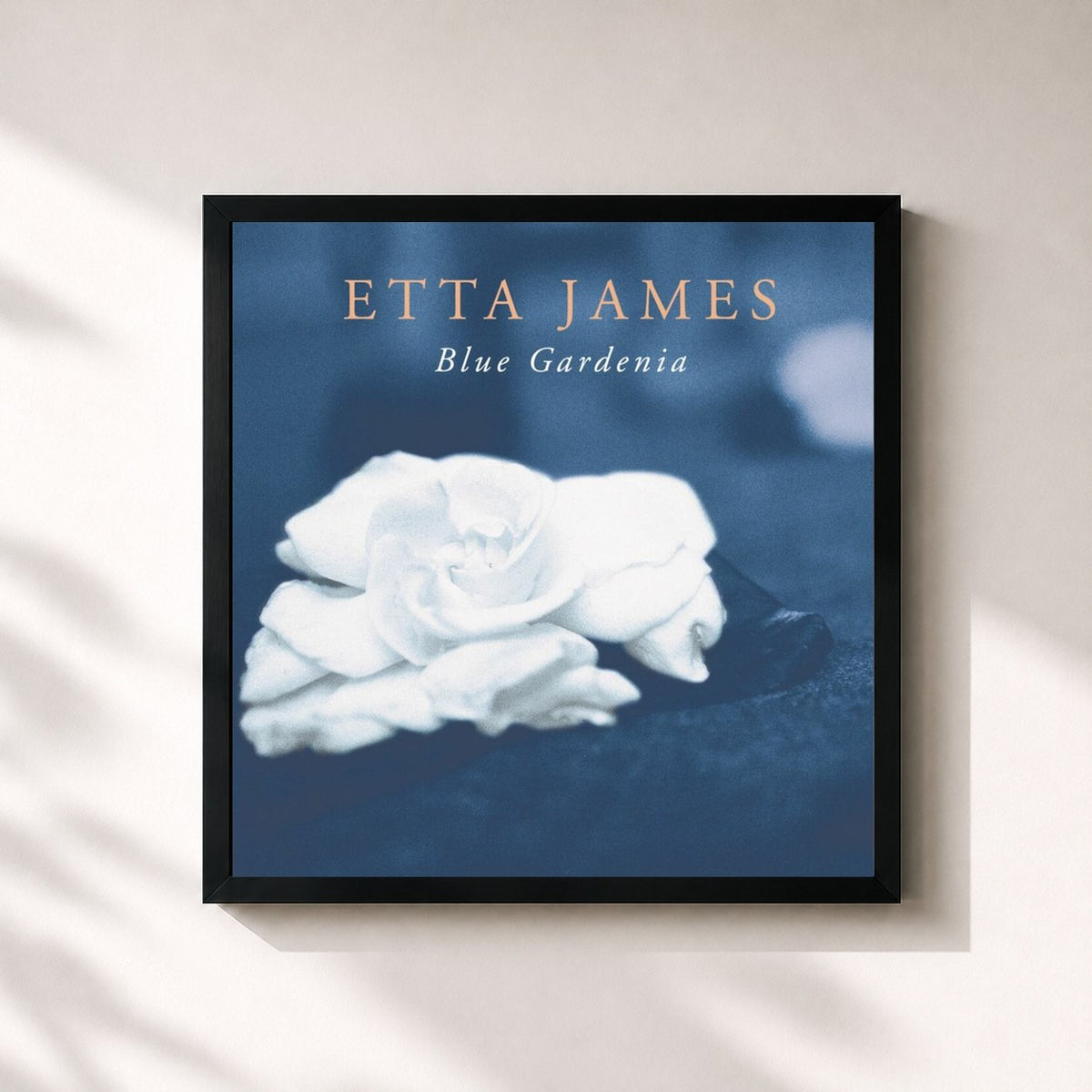 #noir Tableau carré de l'album Blue Gardenia de Etta James, cadre noir 32x32 cm