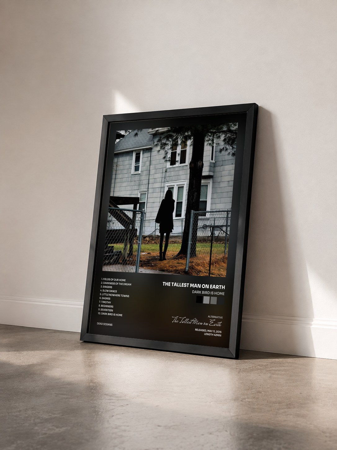 #noir Tableau de l'album Dark Bird Is Home de The Tallest Man on Earth vu de trois quarts, cadre noir