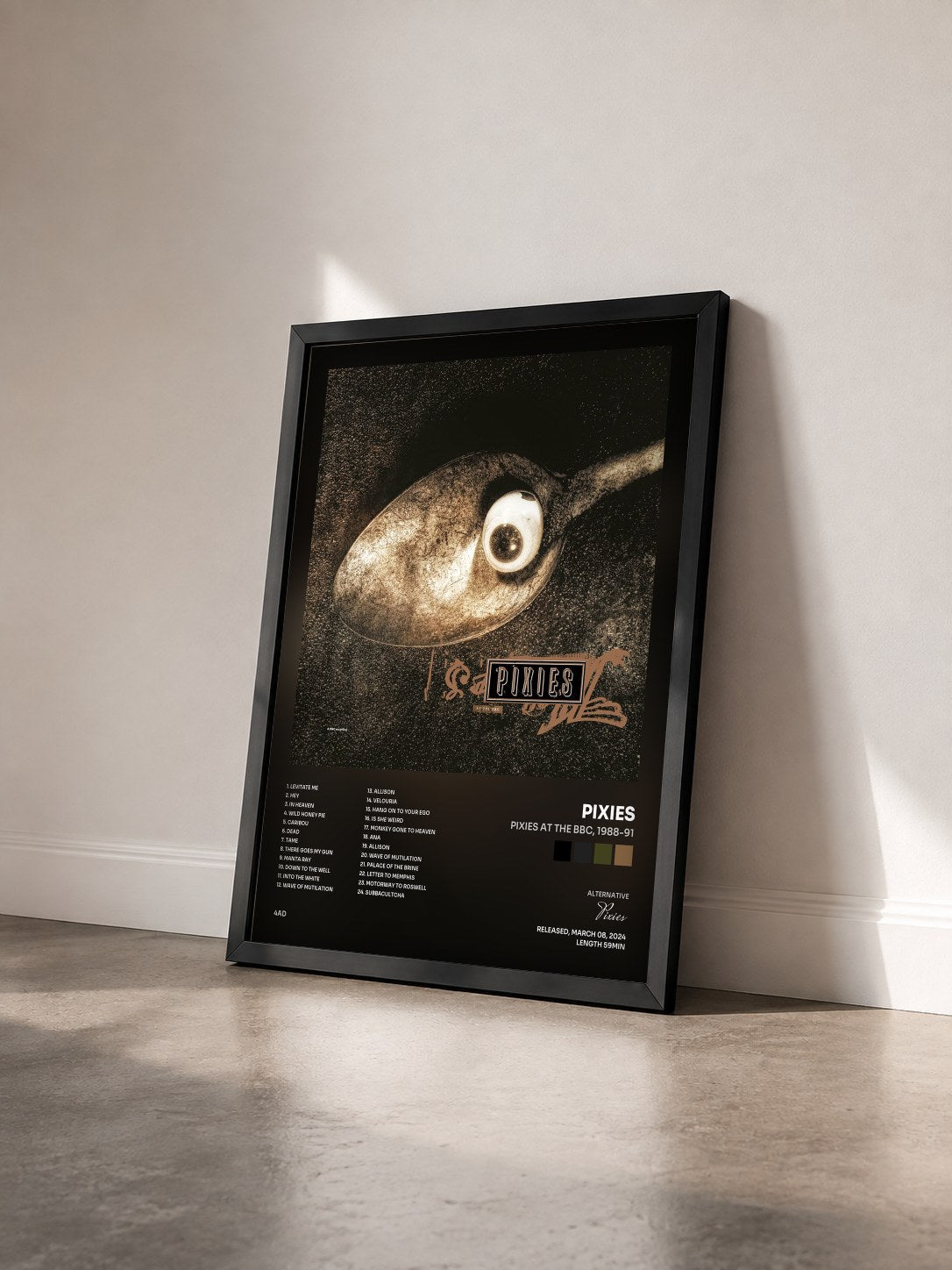 #noir Tableau de l'album Pixies at the BBC, 1988-91 de Pixies vu de trois quarts, cadre noir