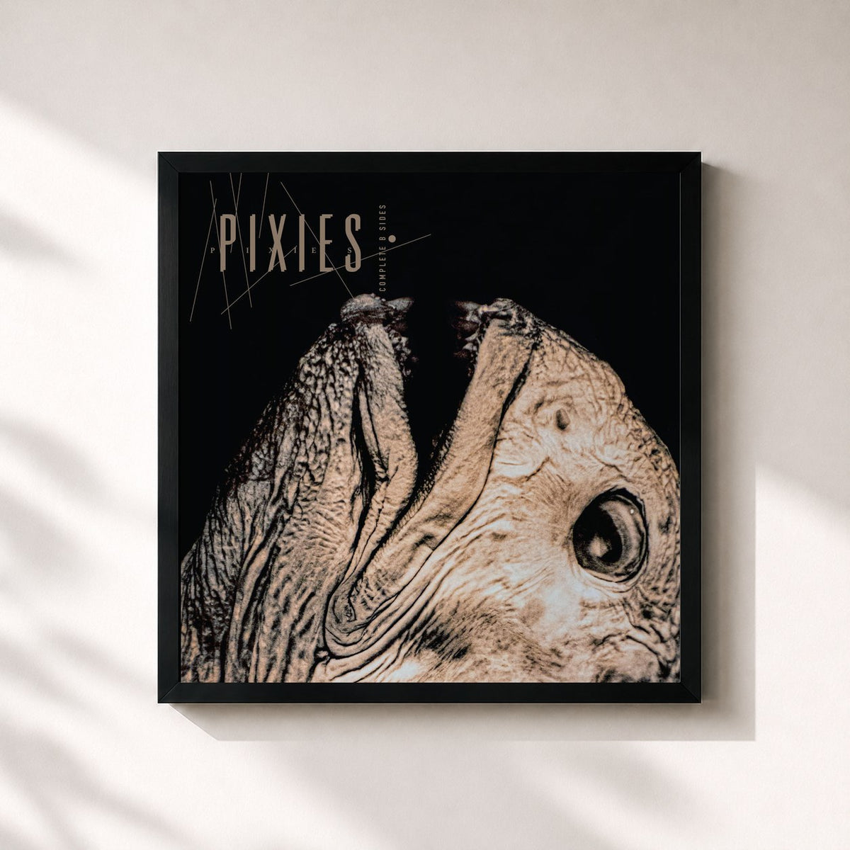 #noir Tableau carré de l'album Complete B Sides: 1988-97 (Remaster) de Pixies, cadre noir 32x32 cm