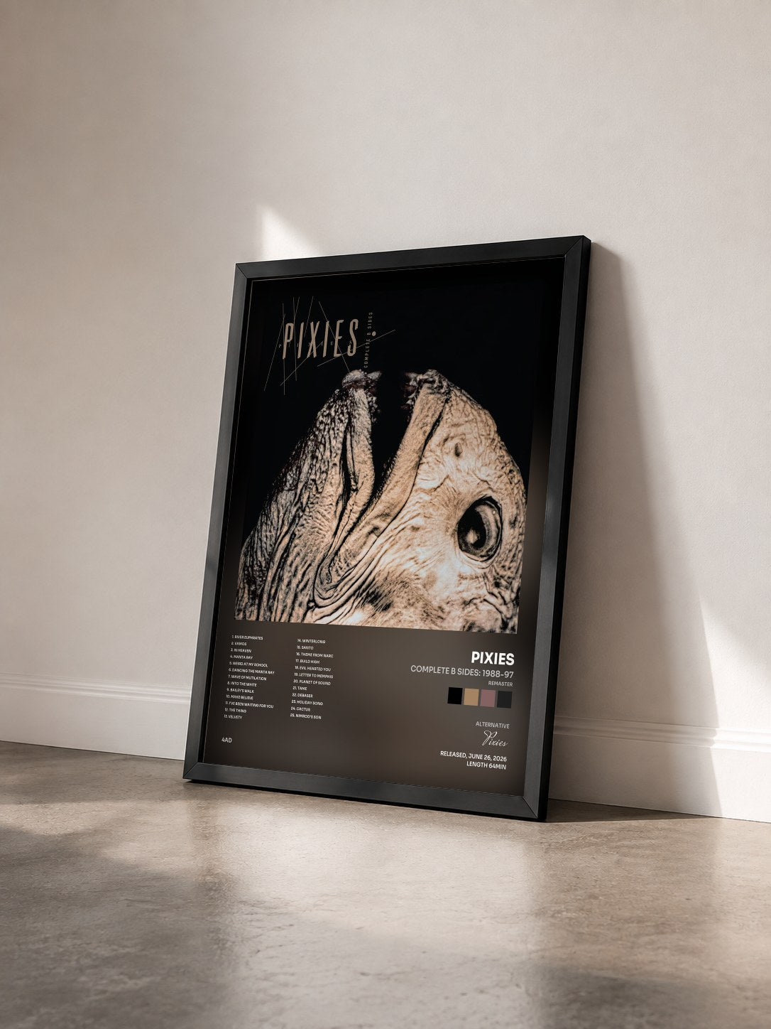 #noir Tableau de l'album Complete B Sides: 1988-97 (Remaster) de Pixies vu de trois quarts, cadre noir