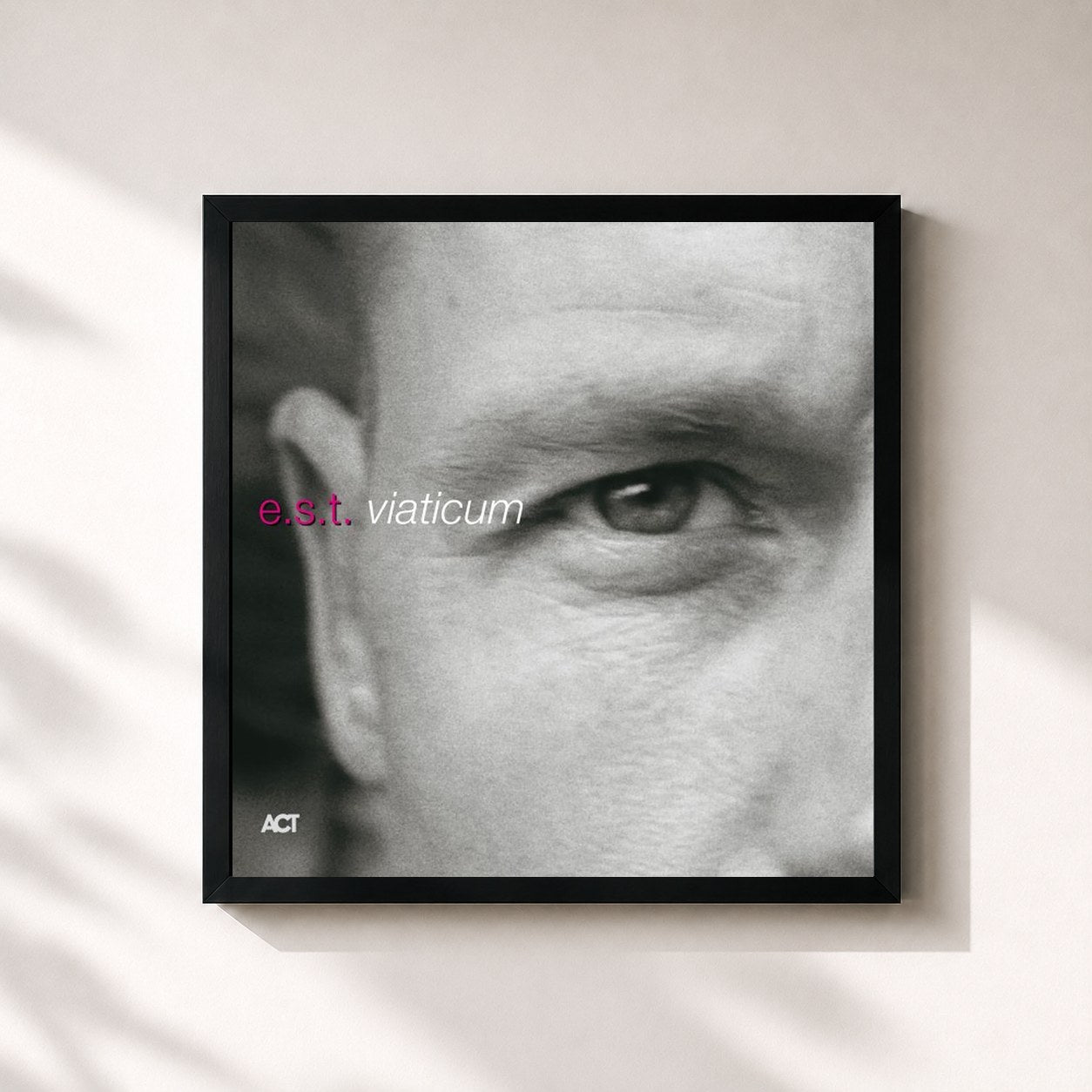 #noir Tableau carré de l'album Viaticum Platinum de Esbjörn Svensson Trio, cadre noir 32x32 cm