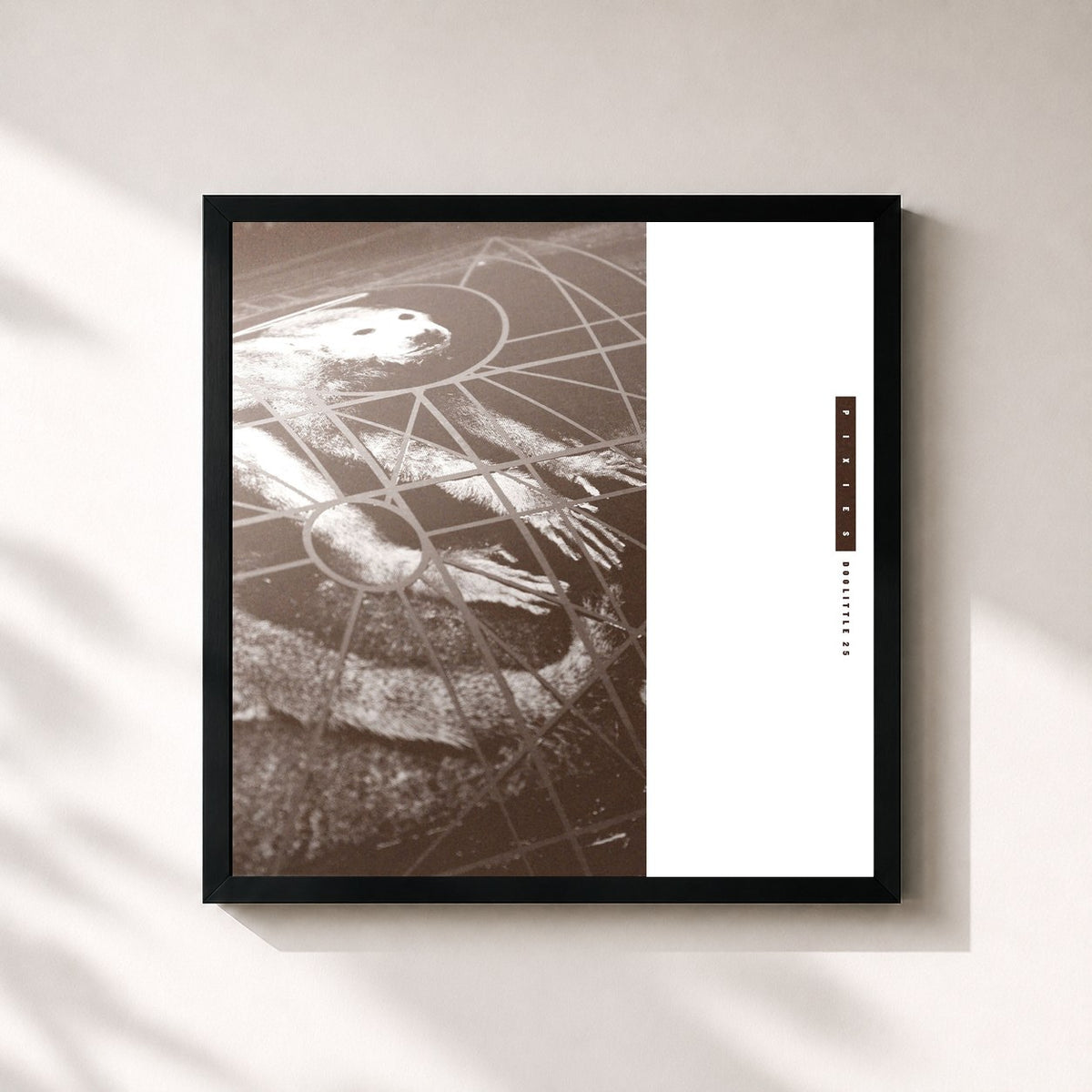 #noir Tableau carré de l'album Doolittle 25: B-Sides, Peel Sessions And Demos de Pixies, cadre noir 32x32 cm
