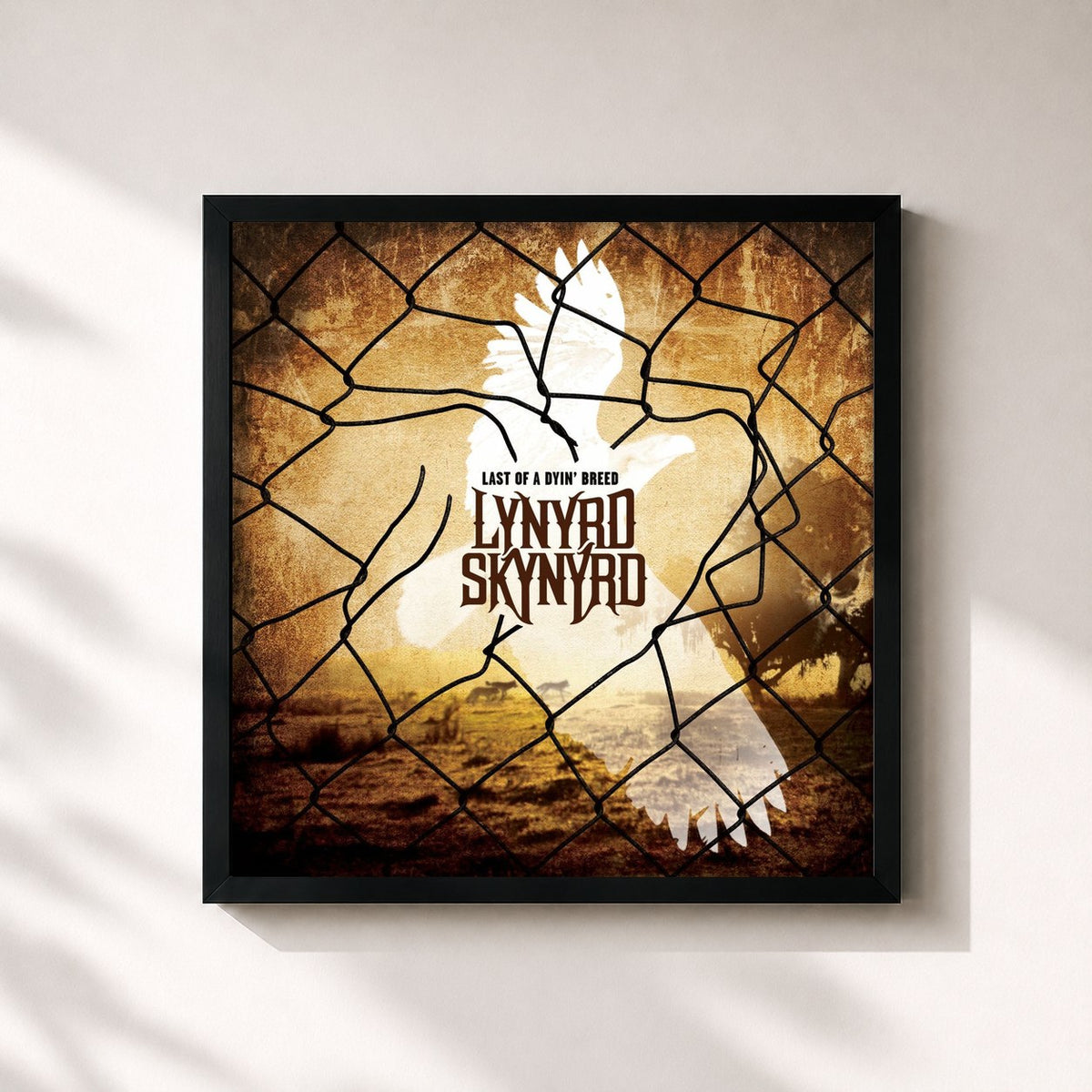 #noir Last of a Dyin' Breed de Lynyrd Skynyrd en lámina cuadrada enmarcada, marco negro de 32x32 cm