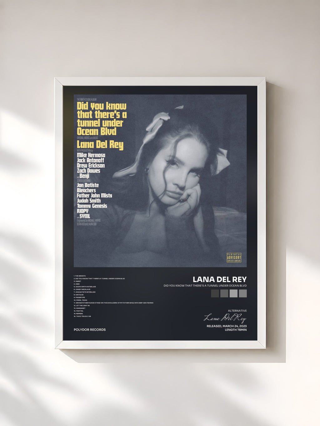 #blanc Tableau de l'album Did you know that there's a tunnel under Ocean Blvd de Lana Del Rey, cadre blanc, imprimé et encadré en France