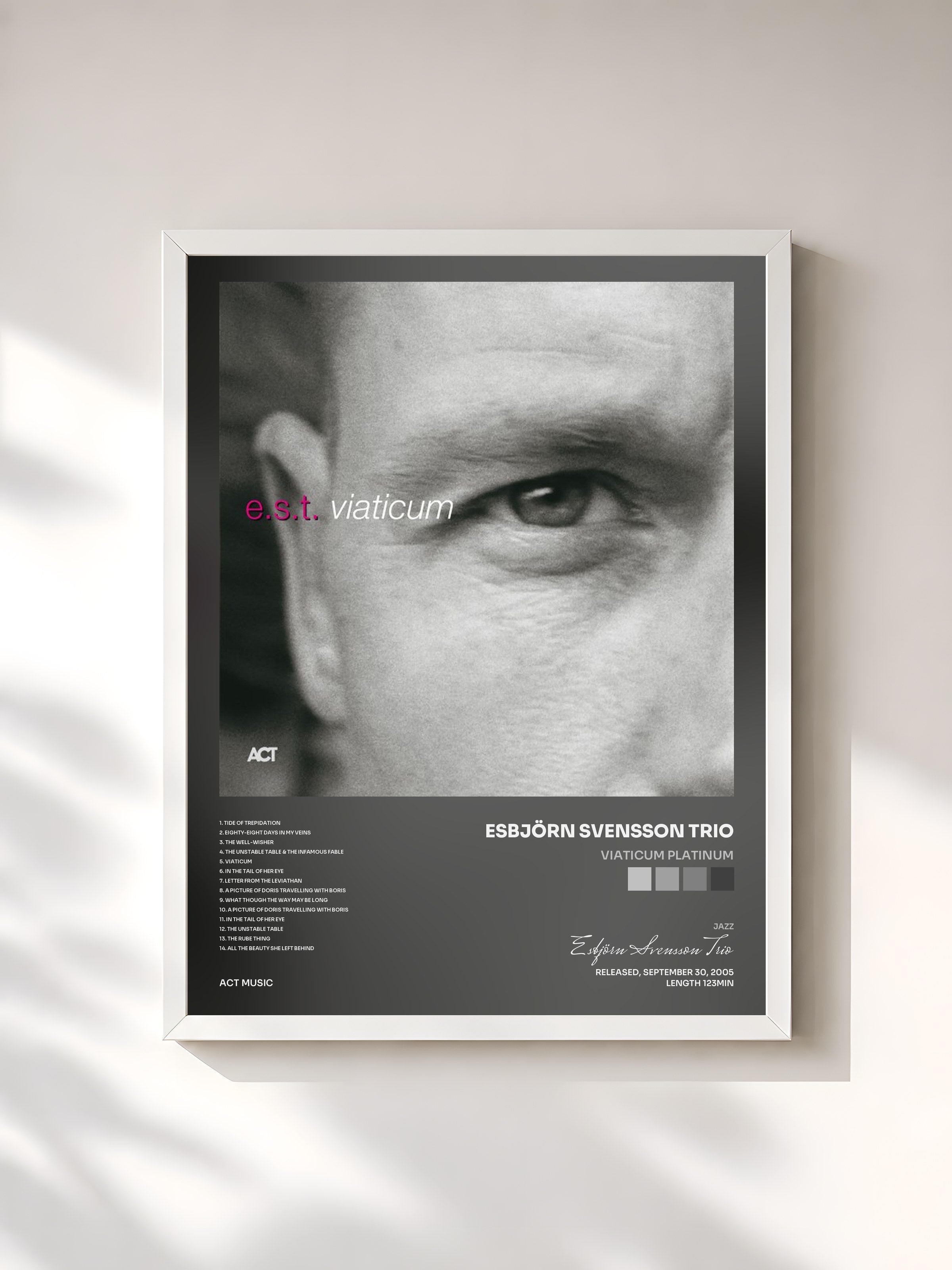 #blanc Tableau de l'album Viaticum Platinum de Esbjörn Svensson Trio, cadre blanc, imprimé et encadré en France