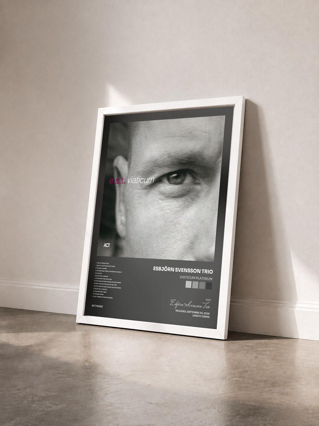 #blanc Tableau de l'album Viaticum Platinum de Esbjörn Svensson Trio vu de trois quarts, cadre blanc