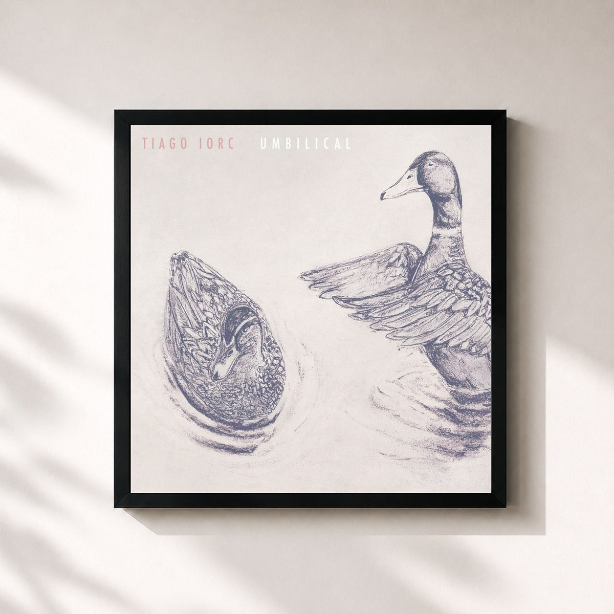 #noir Tableau carré de l'album Umbilical de TIAGO IORC, cadre noir 32x32 cm