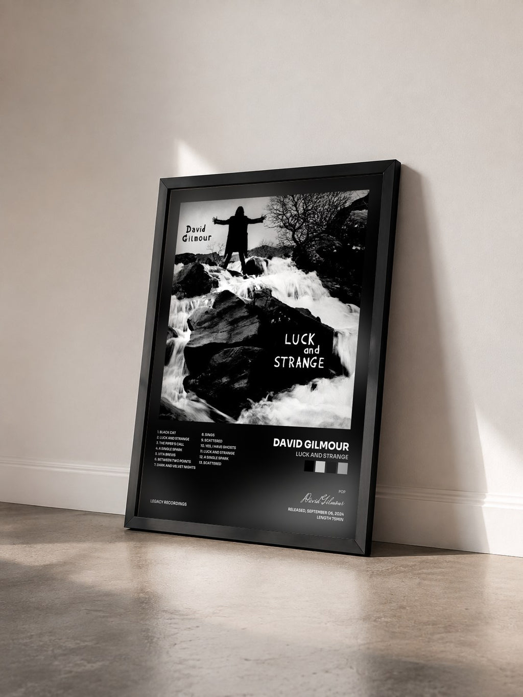 #noir Tableau de l'album Luck and Strange de David Gilmour vu de trois quarts, cadre noir
