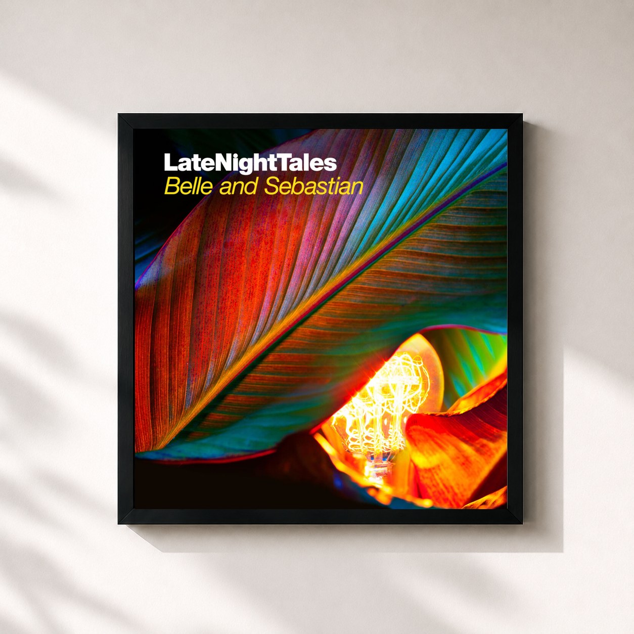 #noir Tableau carré de l'album Late Night Tales: Belle and Sebastian, Vol. 2 de Belle and Sebastian, cadre noir 32x32 cm