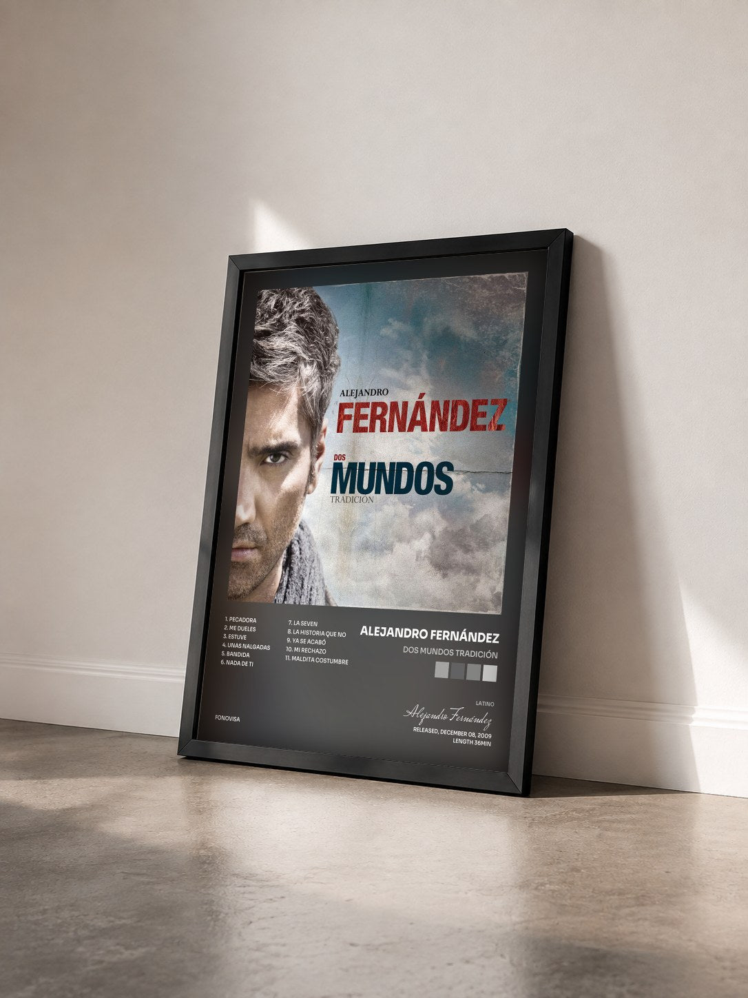 #noir Tableau de l'album Dos Mundos Tradición de Alejandro Fernández vu de trois quarts, cadre noir