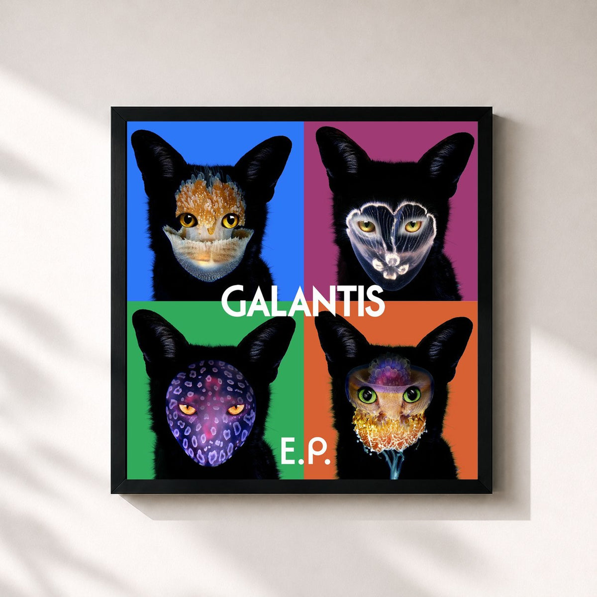 #noir Tableau carré de l'album Galantis EP de Galantis, cadre noir 32x32 cm