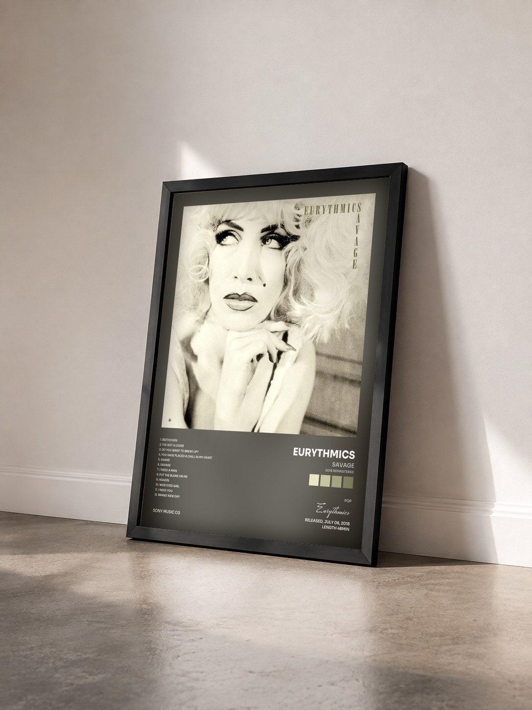 #noir Tableau de l'album Savage (2018 Remastered) de Eurythmics vu de trois quarts, cadre noir