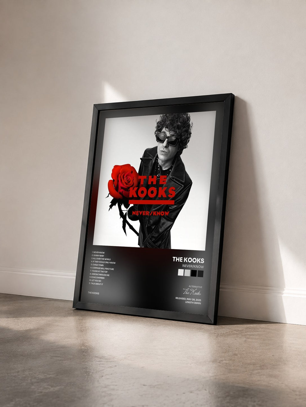 #noir Tableau de l'album Never/Know de The Kooks vu de trois quarts, cadre noir